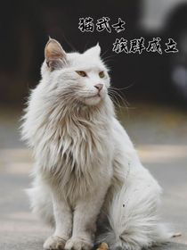 猫武士——族群成立