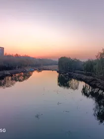 我偏要做白日梦