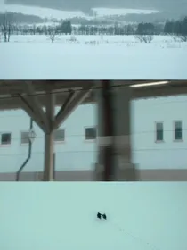 爆兽猎人闪烁的青春