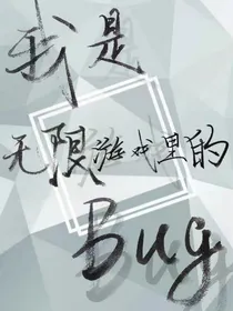 我是无限游戏的bug