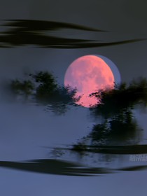 疯子的救赎理论