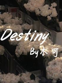 佣空：destiny