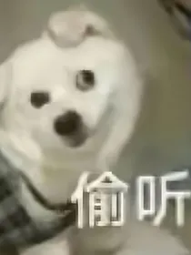 没事写一点