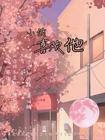 小偷喜欢他