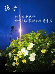 栀子：如果世界很吵那我们就躲起来悄悄幸福