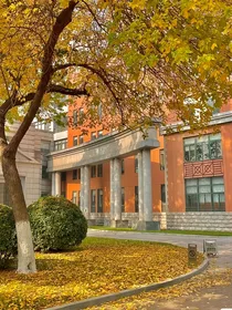 明明在意