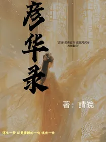 彦华录