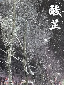 酸芷