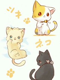 猫猫的摆烂人生-d990