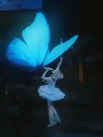 Butterfly图集