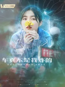 开端：车真不是我炸的