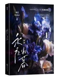 神迹：永夜为暮
