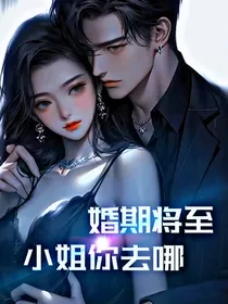 婚约将至——小姐你去哪