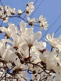 综之念念不平
