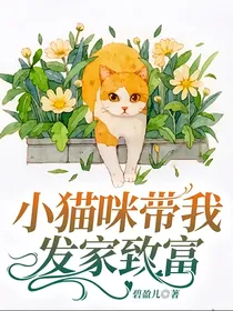 小猫咪带我发家致富