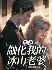 追妻：融化我的冰山老婆