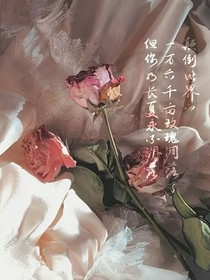 玫瑰花凋零（小短片）