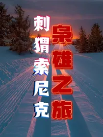刺猬索尼克之枭雄之旅