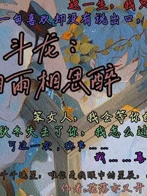 斗龙：烟雨相思醉