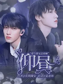 TNT：仰昼