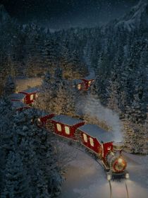 圣诞雪松列车