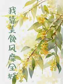 我靠美食风靡全城