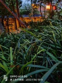 壹番屋谓印