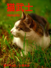 猫武士：暗林血场
