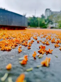 凌际破天穹