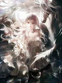 武魂殿：双生天使