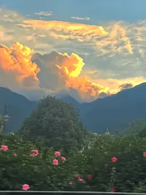 若有来生我想早点遇见你