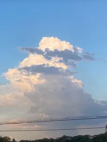 霸道总裁的暧昧日记
