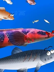 小鱼快跑