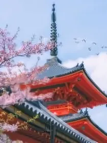 携带厨神系统在日本的生活-d532