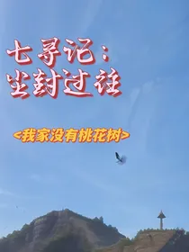 七寻记：尘封过往