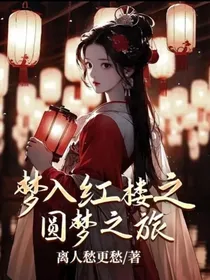 梦入红楼之圆梦之旅