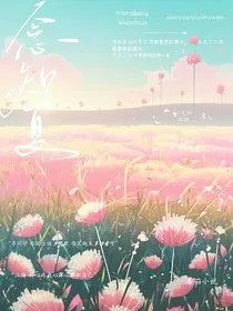 念知夏