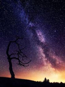 柯小瓶的逆袭