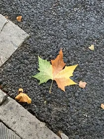 赶在落日前