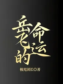 岳飞的命运