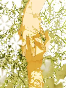 快穿：天下掉下个俏娇娘