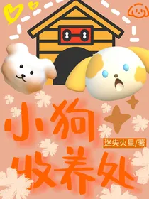 小狗收养处