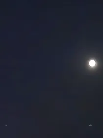 以黑暗前窥探