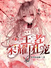 暮落之雪系列：王者荣耀团宠