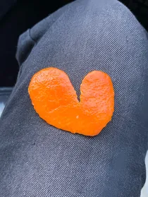 鱼鸟不相厌