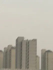 后室：无边溺梦