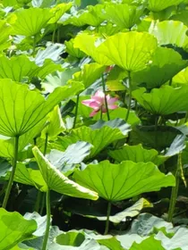 斗一：与风同行