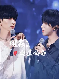 翔霖：追星必备