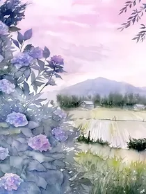 木槿暖夏