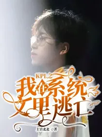 KPL之我在系统文里逃亡